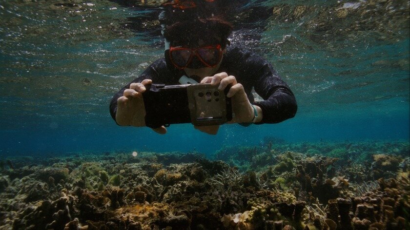 본문 이미지 - 삼성전자 산호초 복원 프로젝트 ‘코랄 인 포커스’(삼성전자 제공. 재판매 및 DB금지)2026.4.26 ⓒ 뉴스1 
