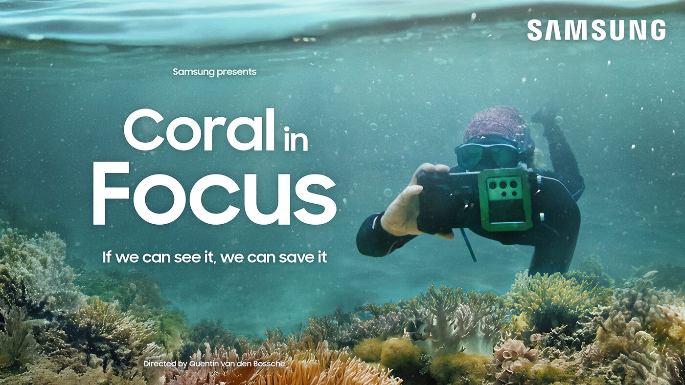 본문 이미지 - 삼성전자 산호초 복원 프로젝트 ‘코랄 인 포커스’(삼성전자 제공. 재판매 및 DB금지)2026.4.26 ⓒ 뉴스1 