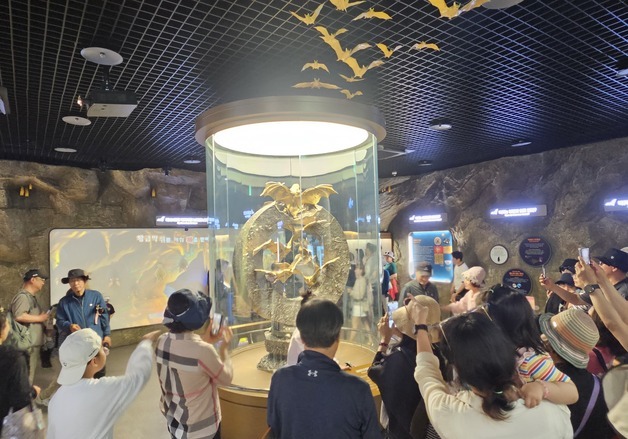 "360억 황금박쥐 기운 받으러" 전남 함평나비대축제 구름 인파