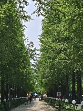 본문 이미지 - 26일 진주 초전공원을 방문한 나들이객. 2026.4.26/뉴스1 한송학기자