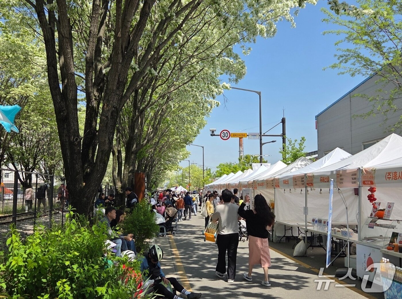 본문 이미지 - 26일 오전 11시께 전북 전주시 덕진구 팔복예술공장 일대를 나들이객들이 걷고 있다.2026.4.26/뉴스1 문채연 기자