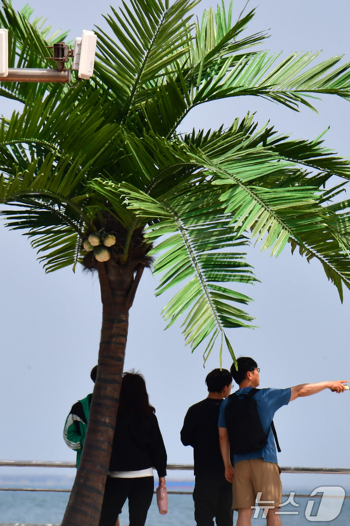 (포항=뉴스1) 최창호 기자 = 26일 경북 포항시 송도해수욕장 평화의 여신상 광장에서 반팔 차임의 관광객들이 이공 야자수 아래에서 쉬고 있다. 2026.4.26/뉴스1
