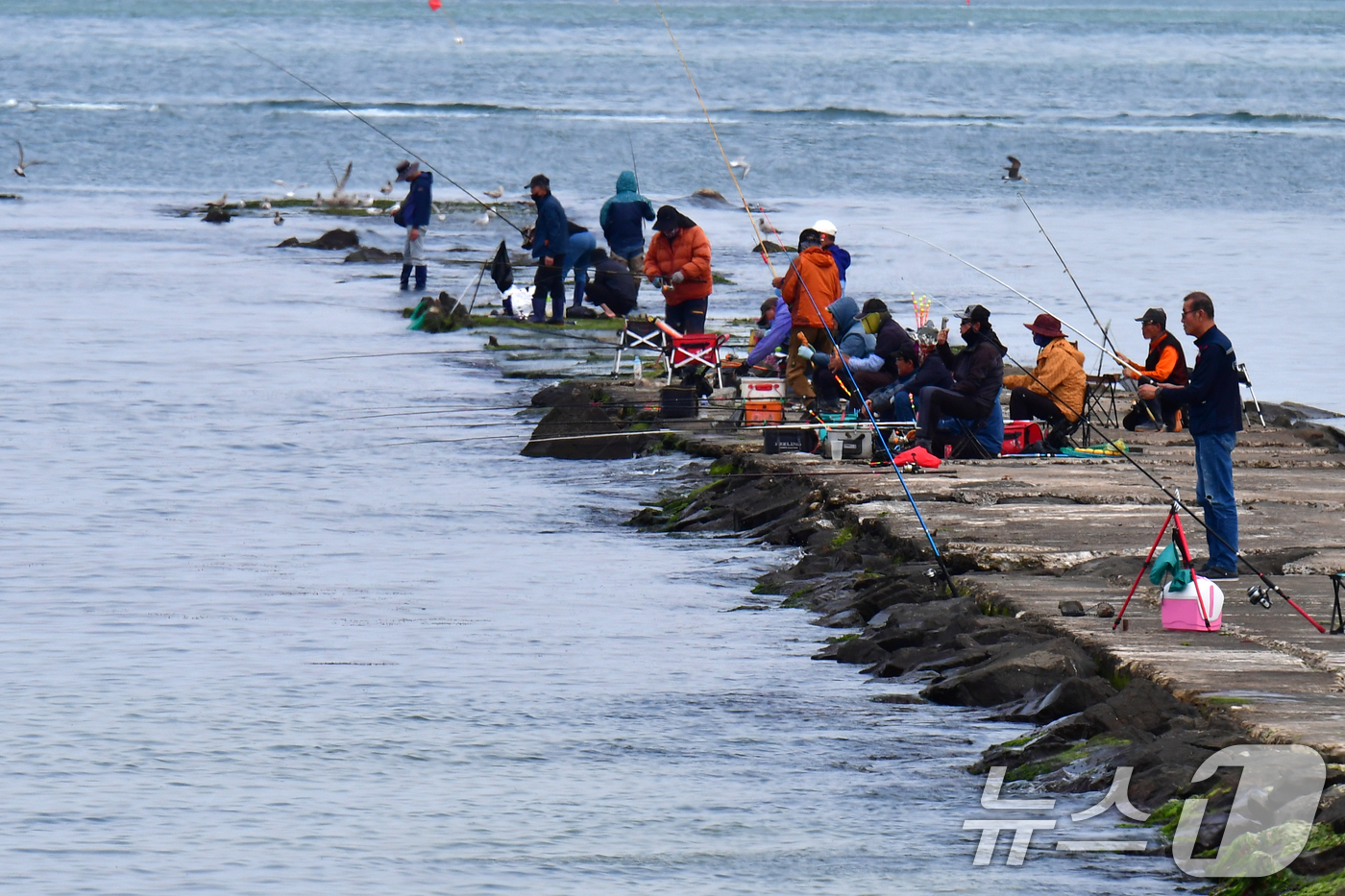(포항=뉴스1) 최창호 기자 = 26일 경북 포항시 송도해수욕장 방파제에서 강태공들이 낚시를 즐기고 있다.  2026.4.26/뉴스1