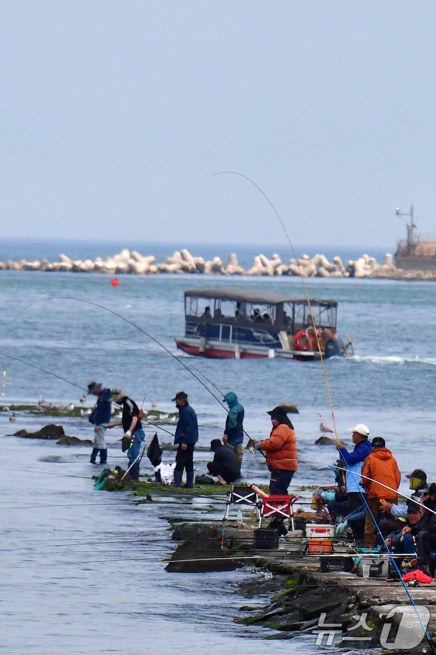 (포항=뉴스1) 최창호 기자 = 26일 경북 포항시 송도해수욕장 방파제에서 강태공들이 낚시를 즐기고 있다. 2026.4.26/뉴스1