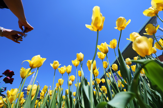 [오늘의 날씨]울산(27일, 월)…구름 많음, 낮 최고 24도