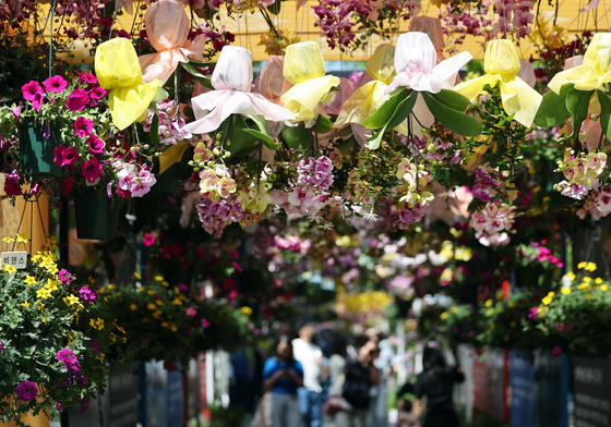 2026 고양국제꽃박람회 찾은 관람객들
