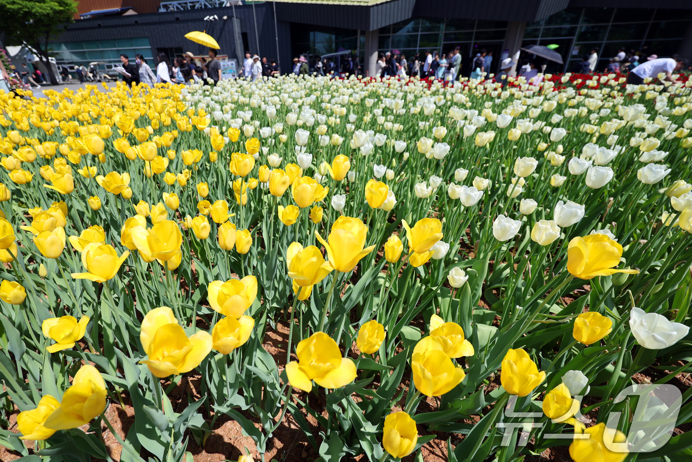 (고양=뉴스1) 황기선 기자 = 26일 경기 고양시 일산동구 일산호수공원에서 열린 '2026 고양국제꽃박람회'에서 관람객들이 꽃을 관람하고 있다. 2026.4.26/뉴스1