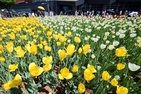 봄을 맞이하는 꽃