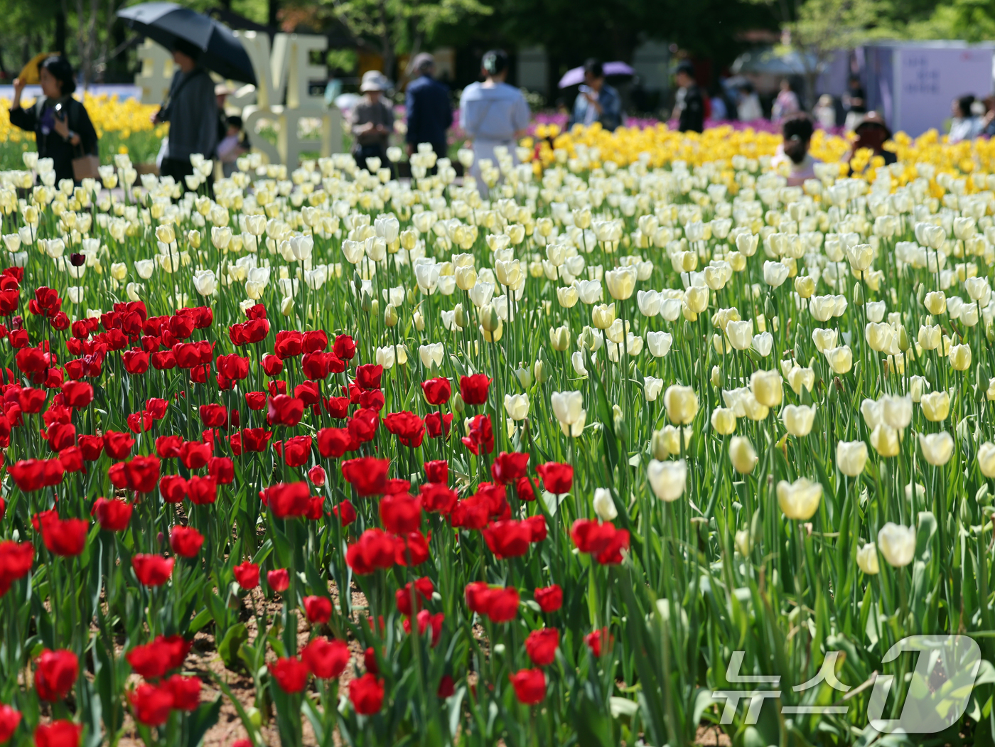 (고양=뉴스1) 황기선 기자 = 26일 경기 고양시 일산동구 일산호수공원에서 열린 '2026 고양국제꽃박람회'에서 관람객들이 꽃을 관람하고 있다. 2026.4.26/뉴스1