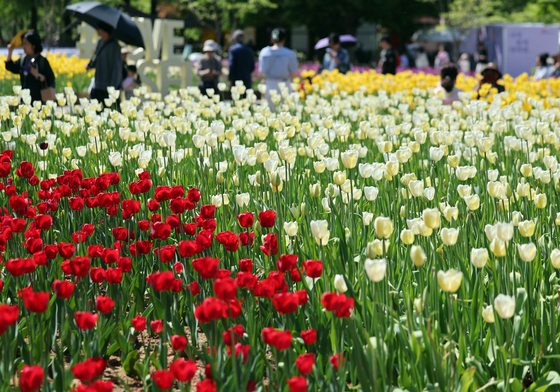 꽃 구경하는 관람객