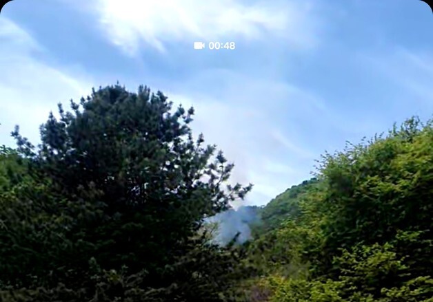 남양주 수동면 야산서 불…39분 만에 진화