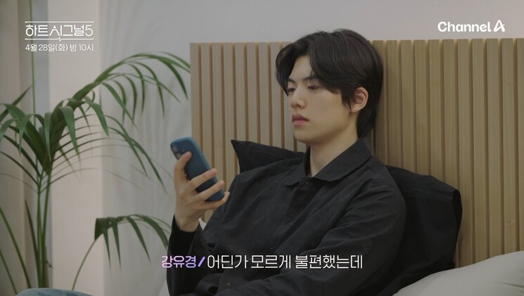 본문 이미지 - 채널A