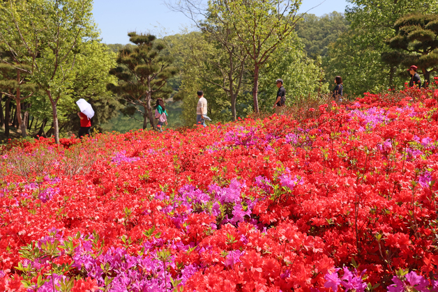 \'꽃과 함께 주말 즐기는 관광객들\'
