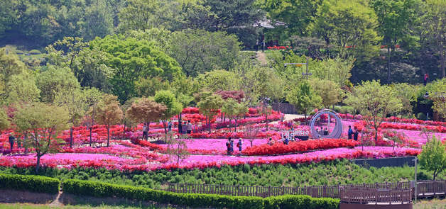 \'옥정호 요산공원에 활짝 핀 꽃들\'