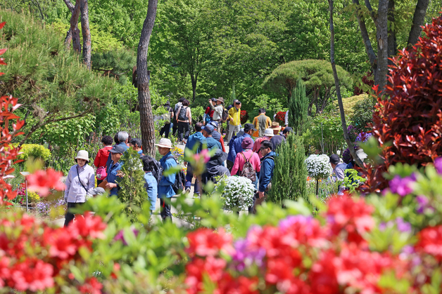 \"옥정호에 꽃 보러 왔어요\"