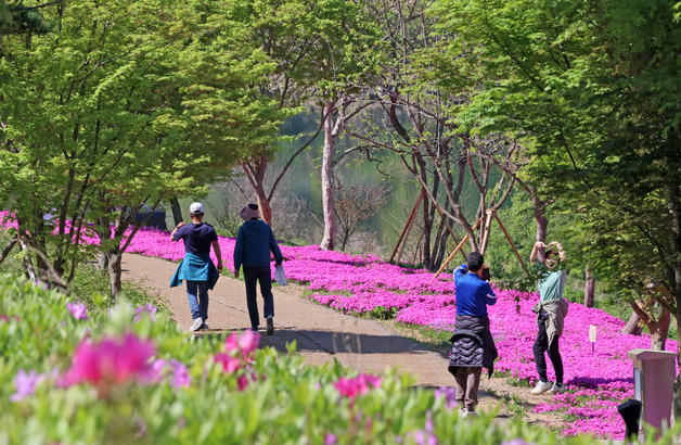 '붕어섬에서 인생 사진'