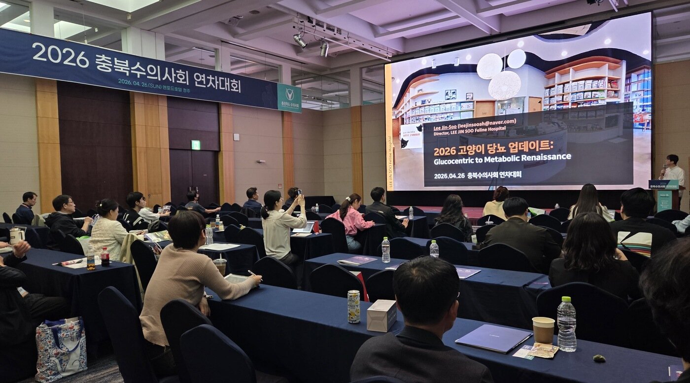 본문 이미지 - 한국고양이수의사회는 2026 충북수의사회 연차대회 컨퍼런스를 공동 주최하고 학술 세미나를 진행했다. ⓒ 뉴스1 한송아 기자