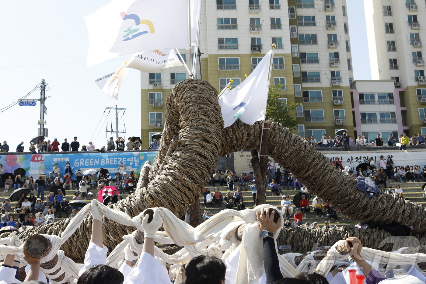 (영월=뉴스1) 한귀섭 기자 = 제59회 단종문화제 마지막 날인 26일 강원 영월 동강 둔치에서 칡줄다리기 대회 전 칡줄 행렬이 이어지고 있다. (영월군 제공, 재판매 및 DB금지 …