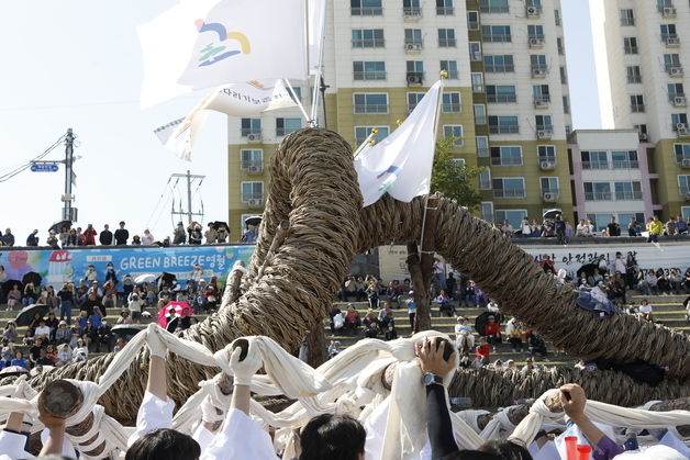 영월군 단종문화제, 칡줄다리기