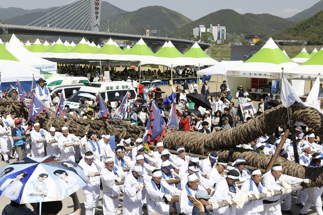 영월 칡줄다리기 인파