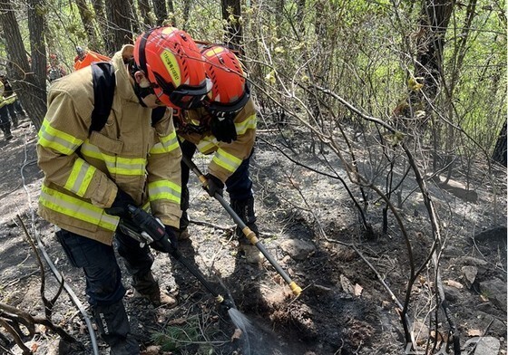 바싹 마른 날씨에 전국서 줄줄이 산불…경기·강원·경북 '활활'(종합)