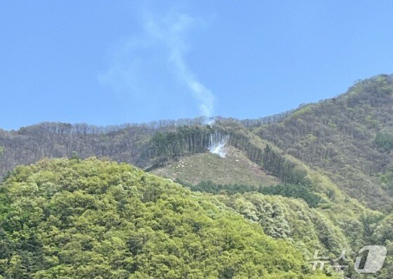 본문 이미지 - 충북 단양군 어상천면 임헌리 삼태산 인근에서 발생한 불.(단양소방서 제공. 재판매 및 DB 금지)