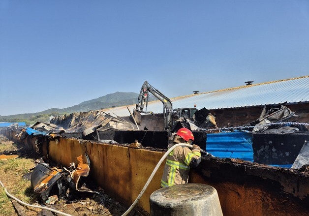 보령 돈사서 화재…돼지 800마리 폐사·3억원 재산피해(종합)