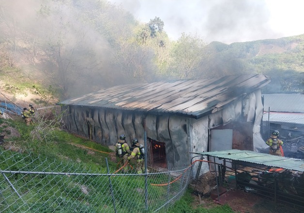 진안 염소 축사 화재…40두 폐사·2100만 원 피해