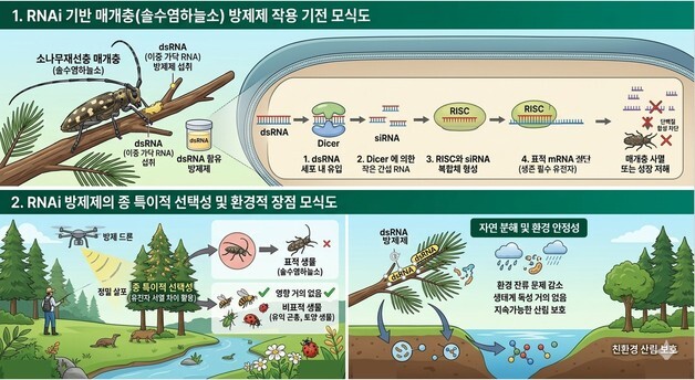 유전자 표적 기술로 재선충병 친환경·정밀 방제 실현 기대