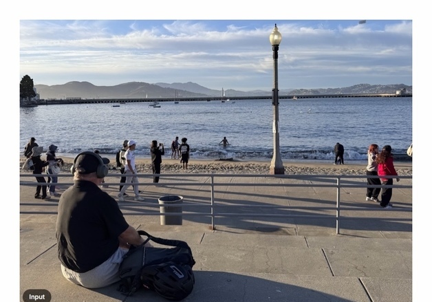 "AI가 개와 고양이 구분한다"…구글, 이미지AI '비전 바나나' 공개