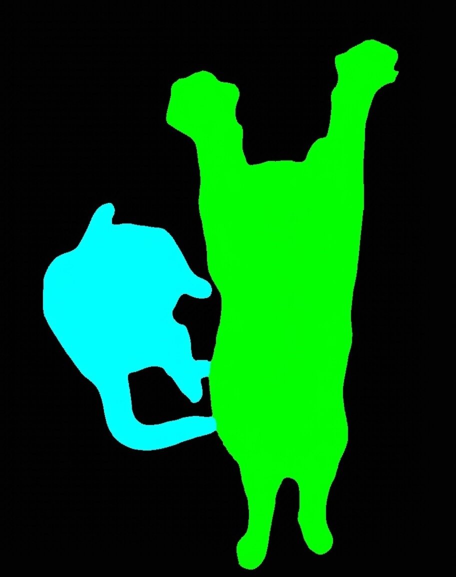 본문 이미지 - 비전 바나나가 웅크린 고양이(하늘색)와 팔을 뻗은 고양이(초록색)를 구분한 모습 (구글 딥마인드 기술 보고서 갈무리)