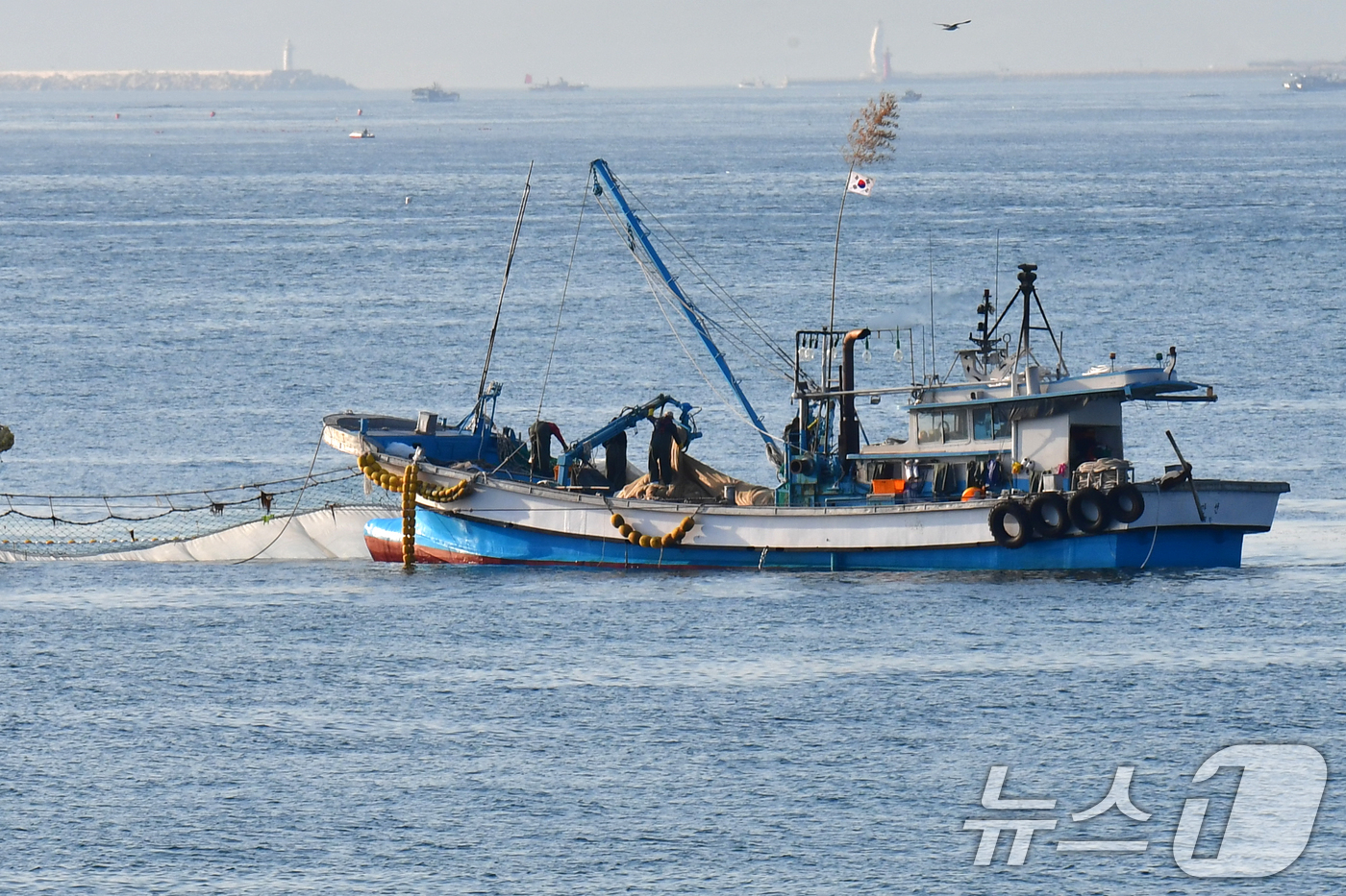 (포항=뉴스1) 최창호 기자 = 27일 경북 포항시 북구 월포해수욕장 앞 바다에서 멸치잡이가 한창이다. 2026.4.27/뉴스1
