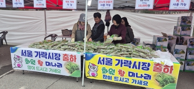 대구 달성군 '화원참 미나리' 서울 도매시장서 31.8톤 판매