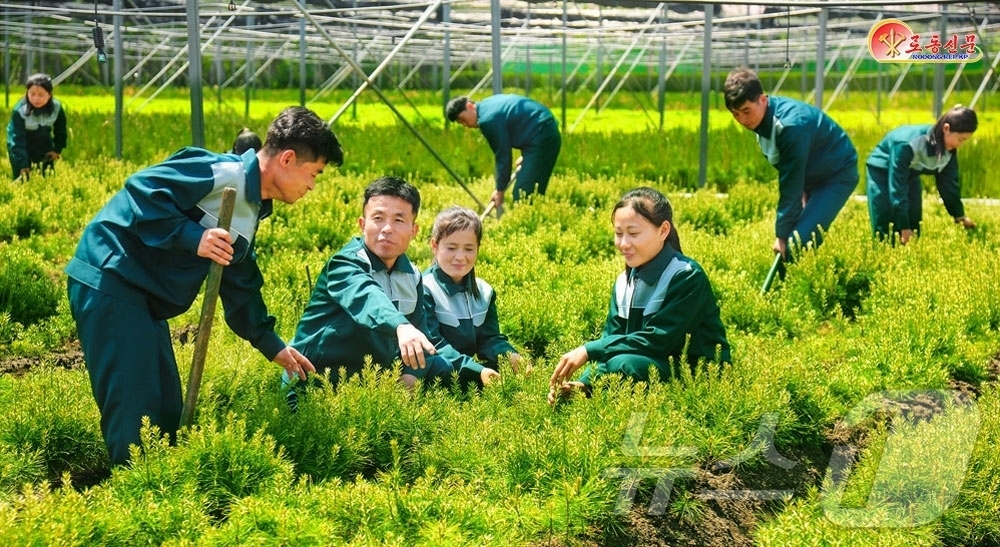 (평양 노동신문=뉴스1) = 북한 노동당 기관지 노동신문은 27일 강원도양묘장 일꾼(간부)들과 종업원들이 제2차 산림복구사업의 첫해 인 올해 '강원도 정신'으로 앞장서야 한다고 독 …