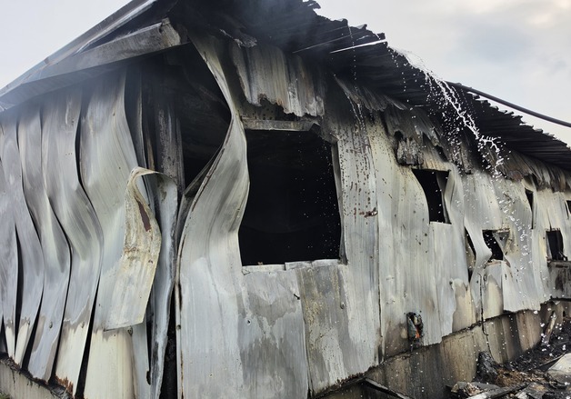 음성 돼지축사 화재 2500마리 폐사…6억7000만원 피해(종합)
