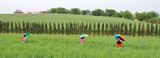 호밀밭에서 추억 남기는 시민들