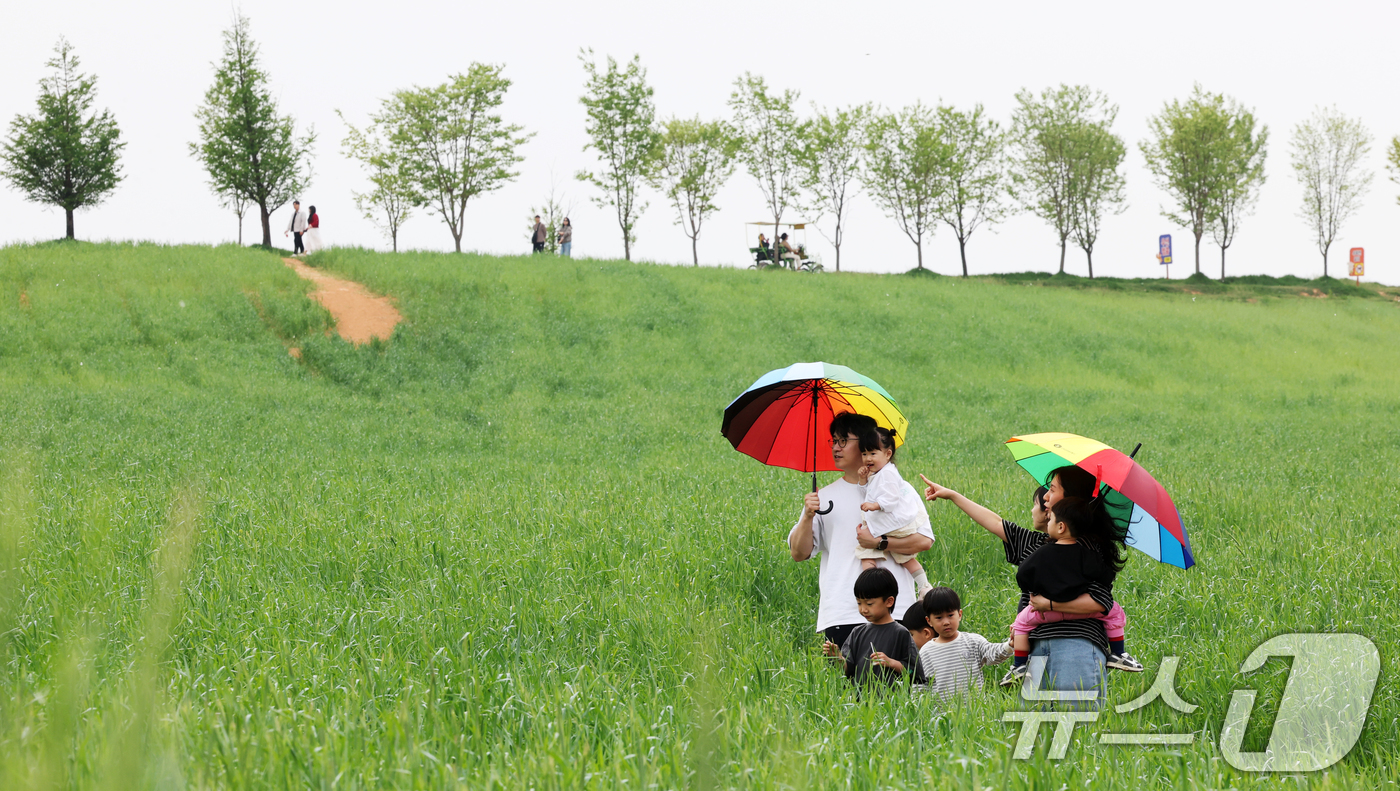 (안성=뉴스1) 김영운 기자 = 완연한 봄날씨를 보인 27일 경기 안성시 공도읍 안성팜랜드 호밀밭에서 봄 나들이를 나온 시민들이 추억을 남기고 있다. 2026.4.27/뉴스1