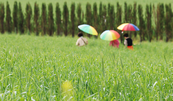 [오늘의 날씨] 강원(30일, 목)…구름 많고 내륙 중심 큰 일교차