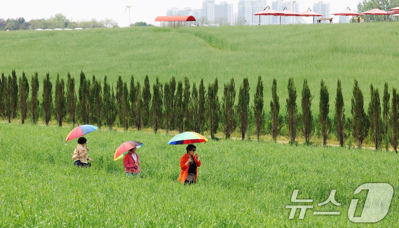 (안성=뉴스1) 김영운 기자 = 완연한 봄날씨를 보인 27일 경기 안성시 공도읍 안성팜랜드 호밀밭에서 봄 나들이를 나온 시민들이 추억을 남기고 있다. 2026.4.27/뉴스1
