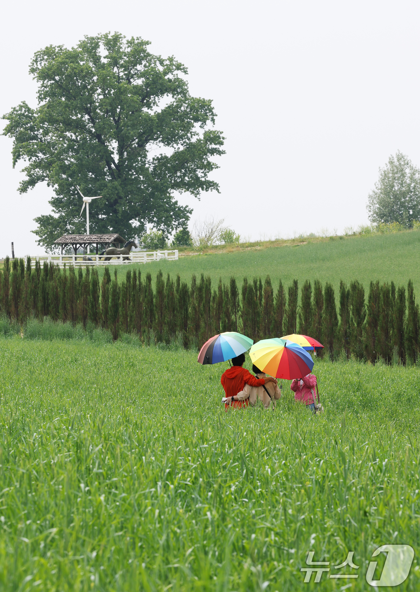 (안성=뉴스1) 김영운 기자 = 완연한 봄날씨를 보인 27일 경기 안성시 공도읍 안성팜랜드 호밀밭에서 봄 나들이를 나온 시민들이 추억을 남기고 있다. 2026.4.27/뉴스1