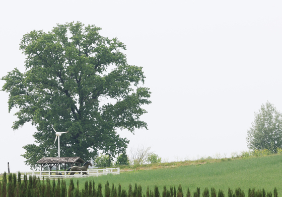 안성팜랜드 호밀밭 찾은 시민들