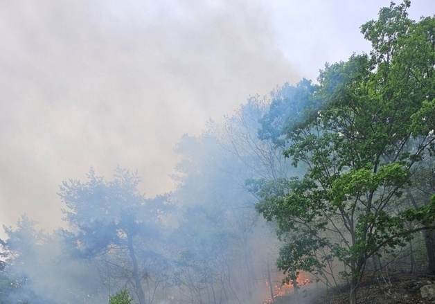 화천 간동면 방천리 산불…헬기 2대 투입해 40분 만에 진화 완료