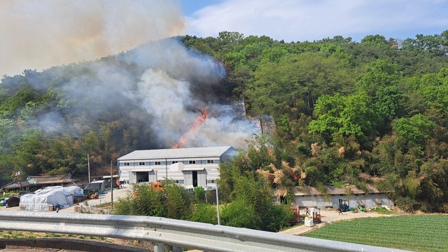 경북 고령 야산 불 3시간 만에 진화…산림 1.2㏊ 피해(종합)