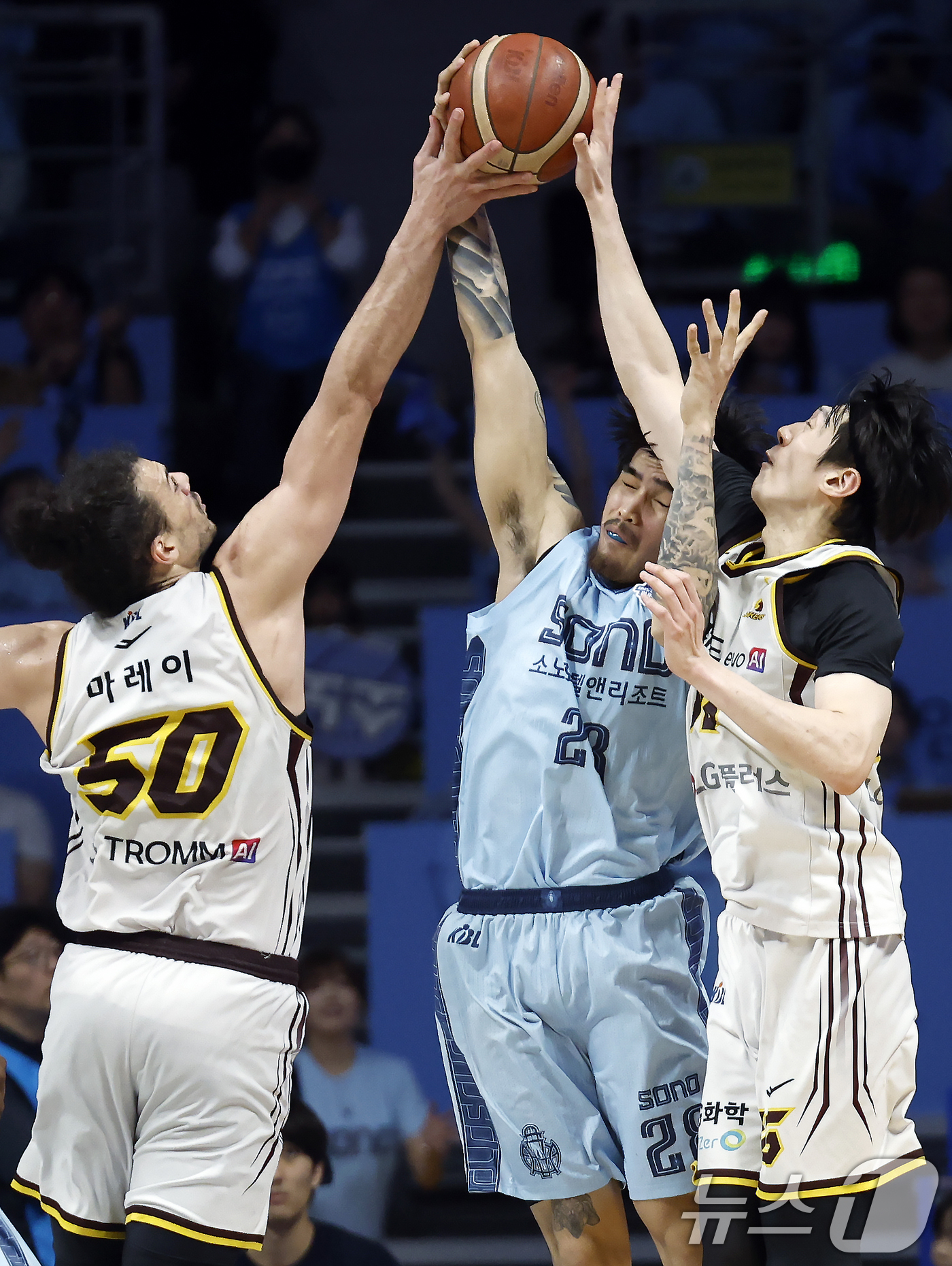 (고양=뉴스1) 박정호 기자 = 27일 오후 경기도 고양시 일산서구 중앙로 고양소노아레나에서 열린  2025-26 프로농구 4강 플레이오프 3차전 고양 소노 스카이거너스와 창원 L …