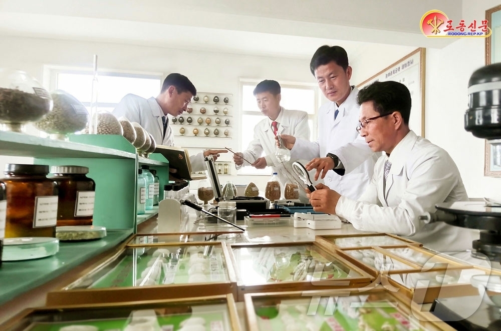 (평양 노동신문=뉴스1) = 북한 노동당 기관지 노동신문은 28일 청진농업대학이 양잠 산업 발전을 위해 관련 연구를 진행하며 기술 개발에 힘쓰고 있다고 보도했다. [국내에서만 사용 …