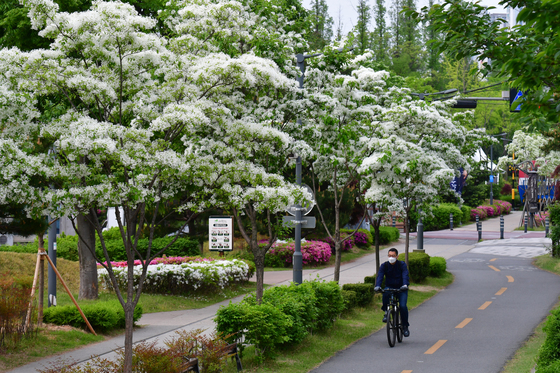 낮 최고 '21도'…건조한 대기 "불조심"(종합)