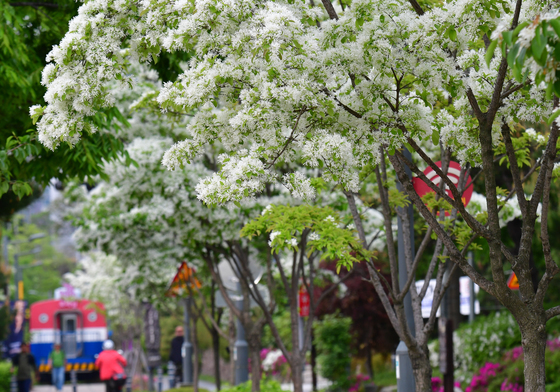 [오늘의 날씨]대구·경북(29일,수)…아침 기온 '뚝', 낮 15~21도