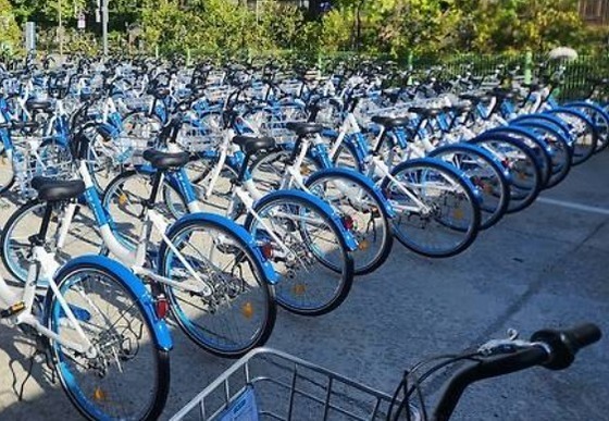 "승용차 2부제 시행 효과"…세종시, 버스·자전거 이용 '껑충'