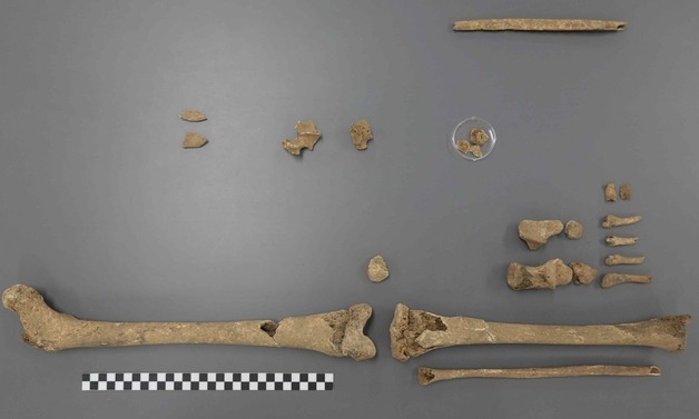 강원 양구 고지전서 산화 故 김판성 하사…75년 만에 가족 품으로