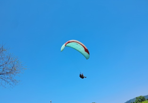 대구 서구 청춘남녀 소개팅 프로그램에 100여명 몰려…문의 쇄도